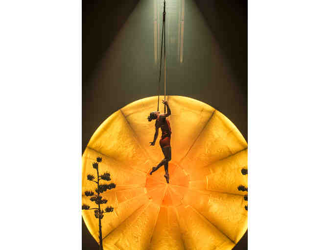 2 Tickets to Cirque Du Soleil's LUZIA, June 4, in Montreal