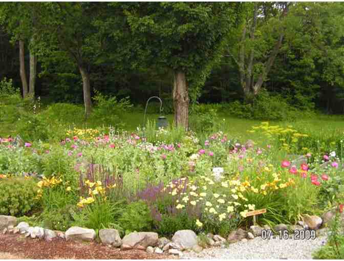 $25 Gift Certificate to Marijke's Perennial Gardens Plus