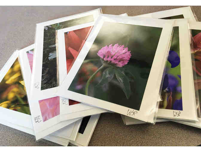 Ten Photo Greeting Cards Featuring Vermont Scenes by Photographer Bill Parkhill