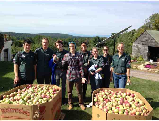 50lbs of Organic Fall Produce from VYCC Farm