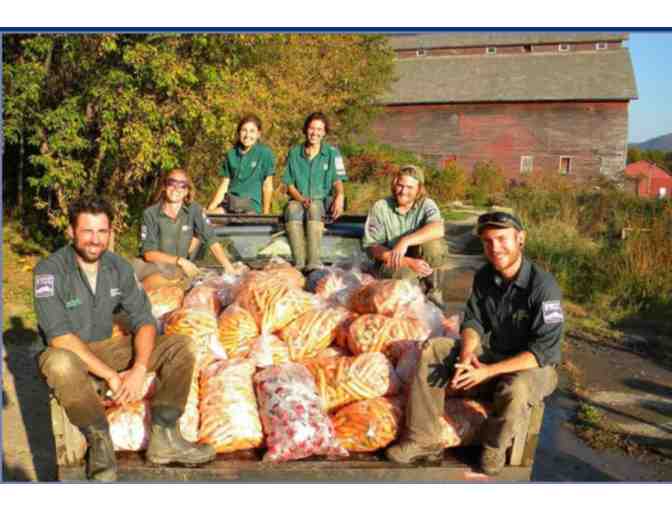 50lbs of Organic Fall Produce from VYCC Farm