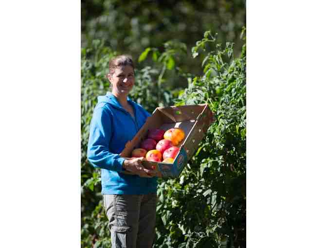 One cubic yard of Farm-Crafted Compost, Topsoil Plus-Raised Bed Mix, OR Topsoil Plus