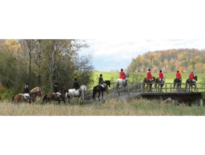 Fox Hunting with Green Mountain Hounds - Photo 1