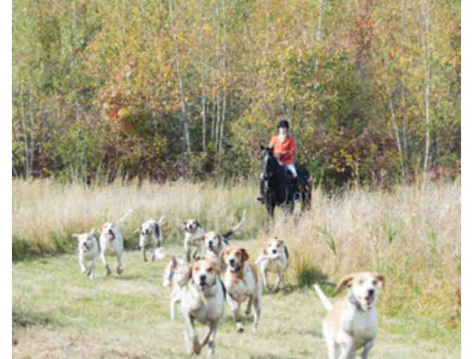 Fox Hunting with Green Mountain Hounds