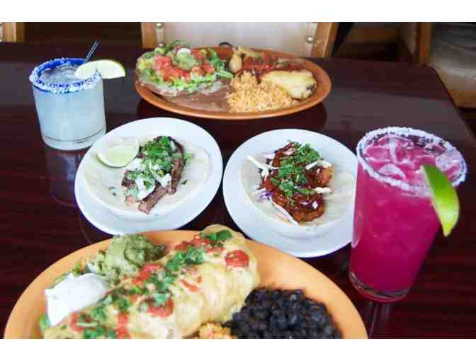 Tequila 101 Class and Tasting for 8 at El Gato Cantina with Owner Tree Bertram Sanchez