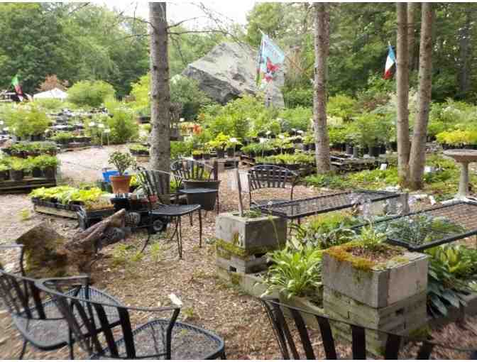 Private Garden Tour for 8 -- Marijke's Perennial Gardens