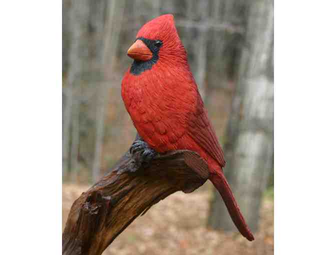 Birds of Vermont Museum Passes and Bird Friendly Coffee - Photo 3