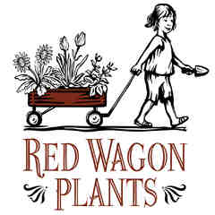 Red Wagon Plants
