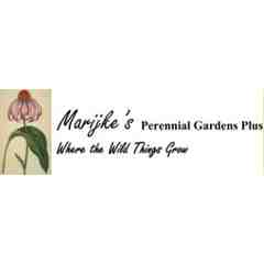 Marijke's Perennial Gardens Plus
