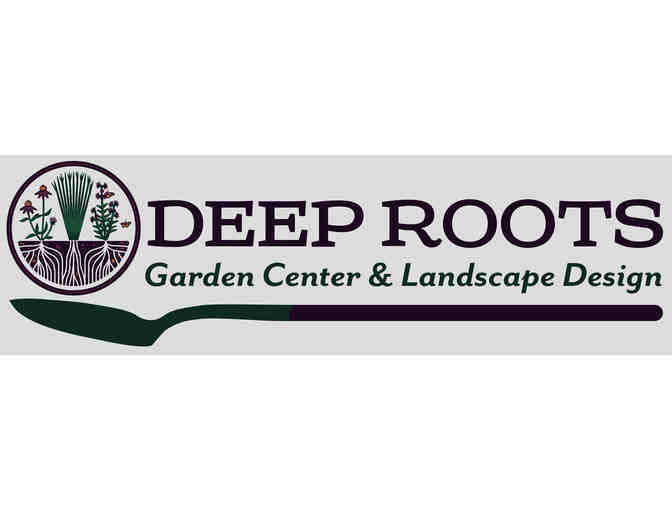 Free Landscaping Consultation from Deep Roots Landscape Design