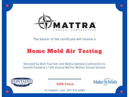 Home Mold Air Testing