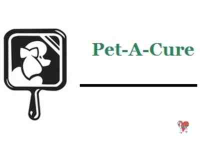 1 Full Pet Grooming at Pet -A-Cure