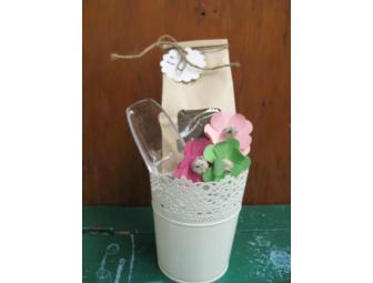 Ms. Zambrano's Kindergarden Class Project 'Flower Pot Kits'