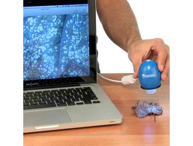Toys - Zoomy Hand Held Microscope