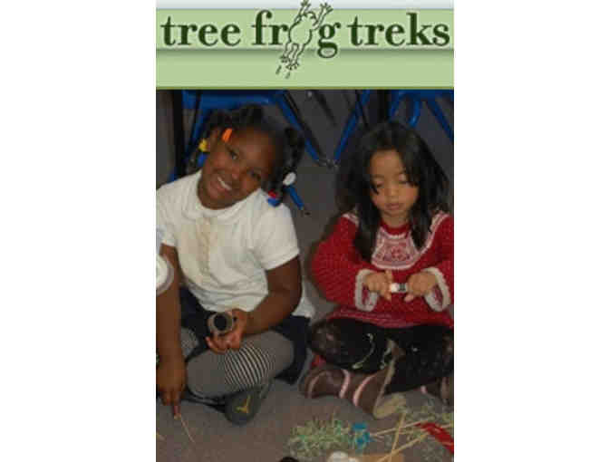 Tree Frog Treks - 2 Passes to Kids Play Night