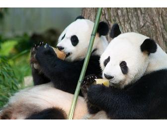 Two-Night Weekend Stay at Marriott Wardman Park, Behind-the-Scenes tour of Giant Pandas, & Dinner