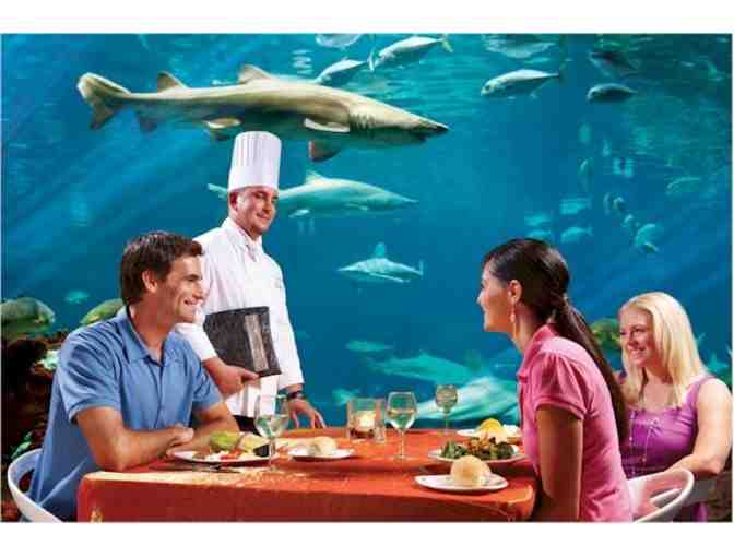 SeaWorld Orlando Adventure: Hotel, Park Admission, and Dining!