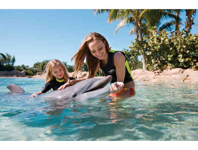 Discovery Cove Package & Two-Night Stay at the Gaylord Palms Resort and Convention Center