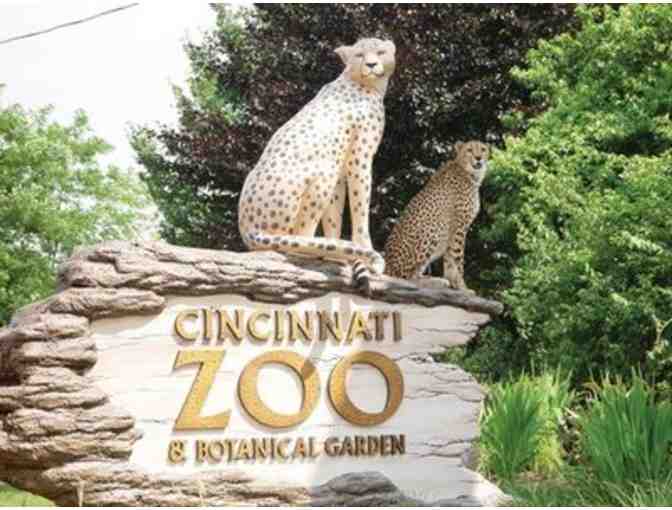 A Visit to the Cincinnati Zoo: Behind-the-Scenes Tour and Hotel Package