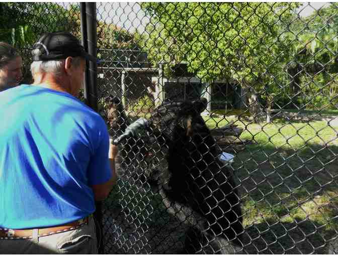 Black Bear Experience at Palm Beach Zoo and Conservation Society