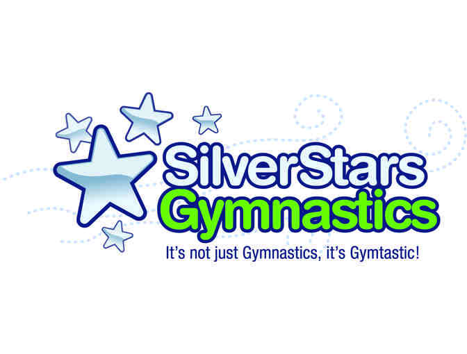 Silver Stars Gymnastics Birthday Party
