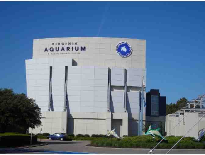 Virginia Beach Getaway & Virginia Aquarium