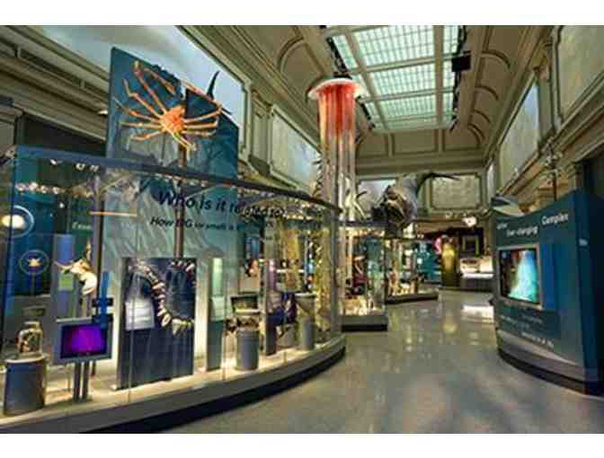 Tour of Ocean Hall at the Natural History Museum & Dining at Carmine's