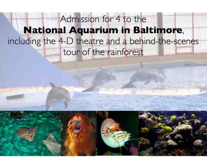 Behind-the-Scenes Tour of the World Renowned National Aquarium in Baltimore