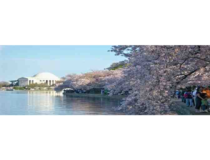 2016 Cherry Blossom Festival Package for Four