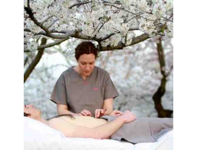 Acupuncture Package from Cherry Blossom Healing Arts