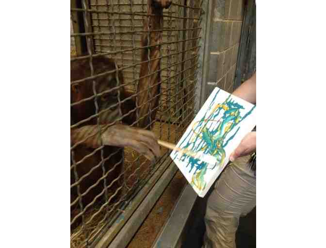 Paint with the Great Apes at the National Zoo