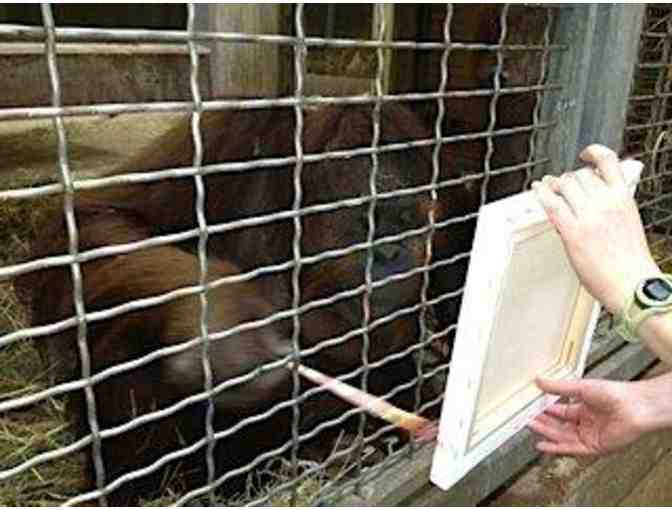 Paint with the Great Apes at the National Zoo