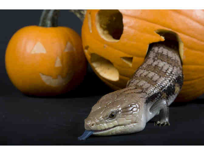 Paint with the Blue-Tongued Skink & Dine at El Centro!