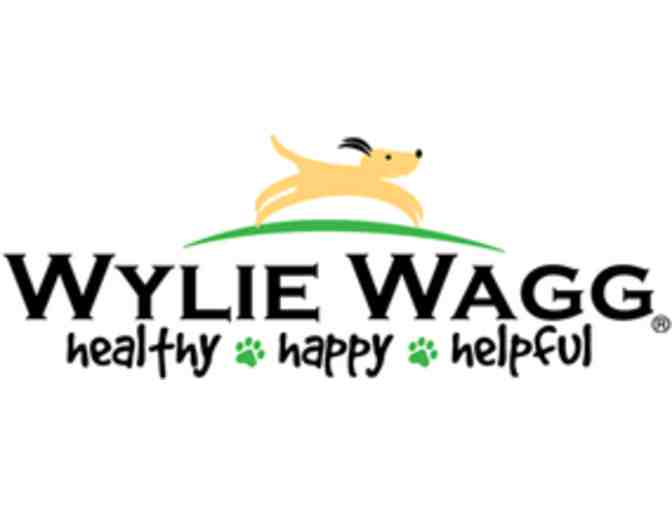 Three Personalized Sessions of Pet Training and Gift Certificate to WylieWagg