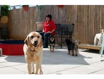 Glamour Pooch Package