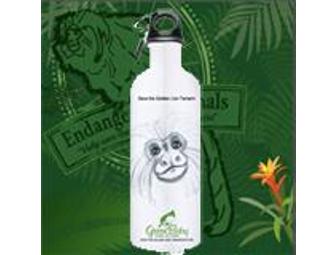 Golden Lion Tamarin Gift Basket