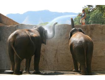 Behind-the-Scenes Tour of the Honolulu Zoo