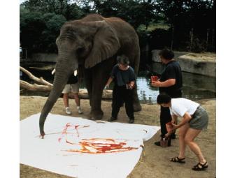 Behind-the-Scenes Tour of Toledo Zoo for 6 People