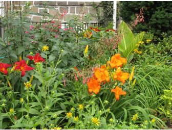 Landscape Design Consultation