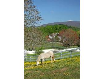 Middleton Inn Bed & Breakfast