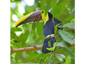 Three Nights in Costa Rica!