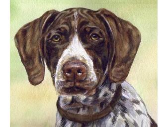 Glamour Pooch Package