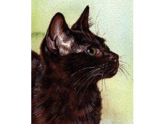 Glamour Pooch Package