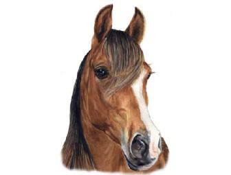 Glamour Pooch Package