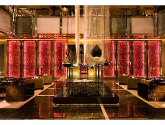 Thailand Trip and Clouded Leopard Adventure!!