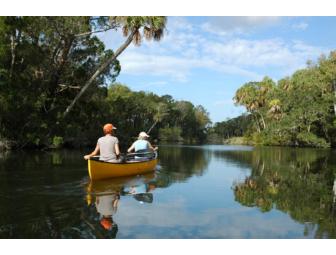 Guided River Tour in Florida (Kayak or Canoe) (II)