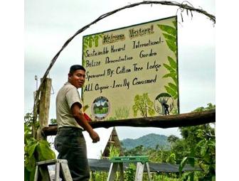 Family Vacation at Cotton Tree Eco-Lodge in Belize