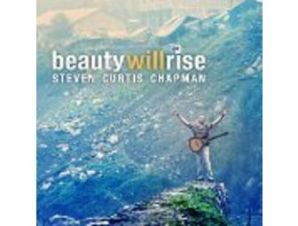 'Declaration' & 'Beauty Will Rise' by Steven Curtis Chapman
