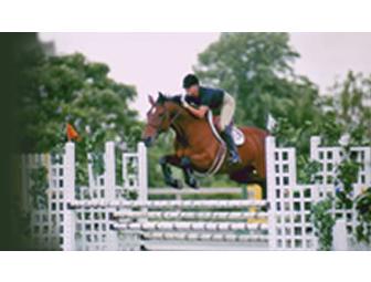 EKG Stables Division of Showing