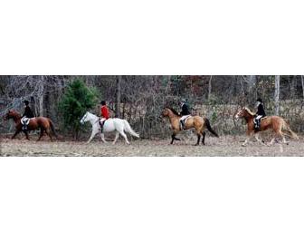 Woodpecker Farm Division of Showing